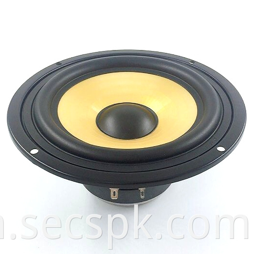 Coil 25 Woofer Speaker